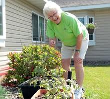 Know your limits when being active under the summer sun 1773 40177598 0 14116228 500